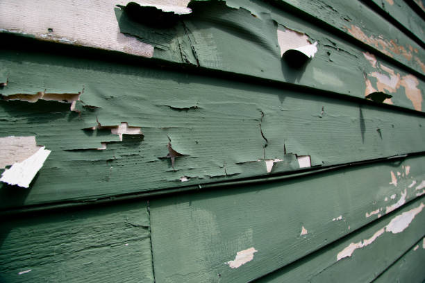 Storm Damage Siding Repair in Round Lake Park, IL