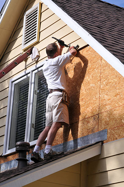 Best Wood Siding Installation  in Round Lake Park, IL