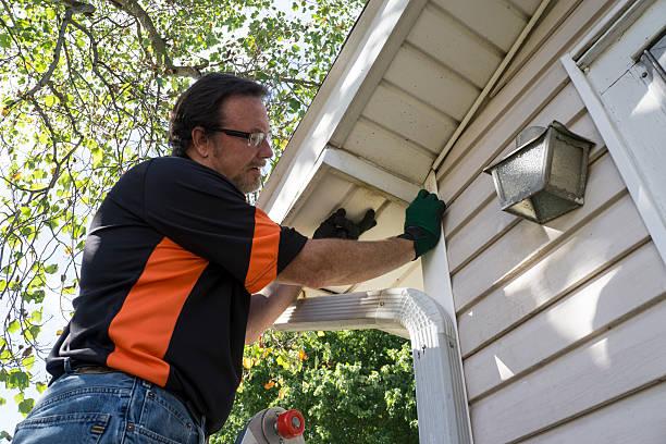 Best Vinyl Siding Installation  in Round Lake Park, IL